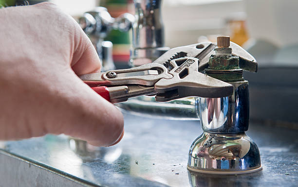 Best Mold removal after water damage  in Loveland, CO