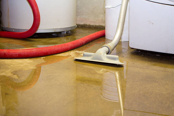Best Professional water damage repair  in Loveland, CO