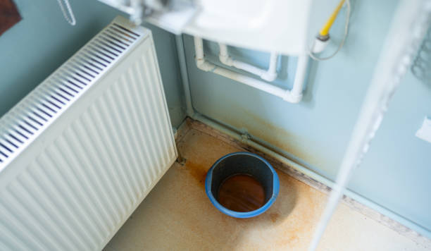 Best 24/7 water damage repair  in Loveland, CO