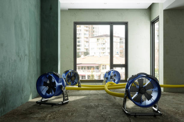 Best Water damage restoration mold remediation  in Loveland, CO